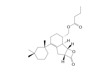 3'-NORSPONGIOLACTONE