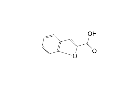 Benzofuran-2-carboxylic acid