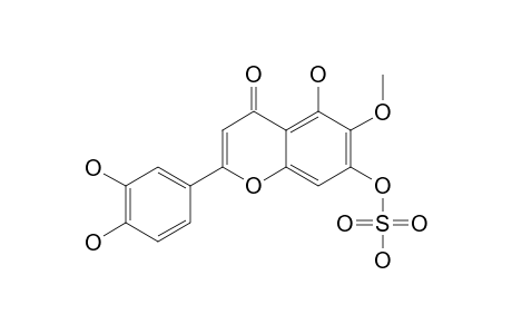 NEPETIN-7-SULPHATE