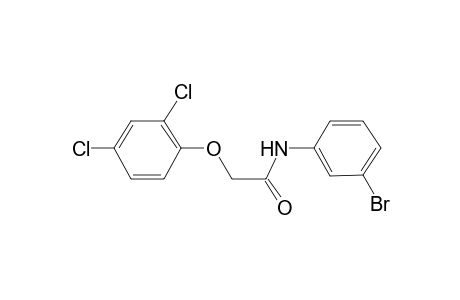 N-(3-Bromo-phenyl)-2-(2,4-dichloro-phenoxy)-acetamide