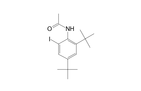 2',4'-di-tert-butyl-6'-iodoacetanilide