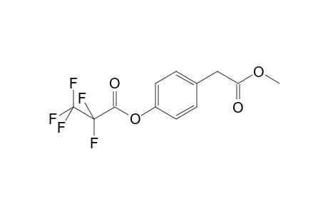 Benzeneacetic acid, 4-(2,2,3,3,3-pentafluoro-1-oxopropoxy)-, methyl ester