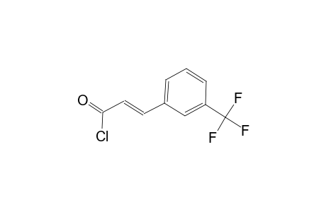 trans-3-(Trifluoromethyl)cinnamoyl chloride