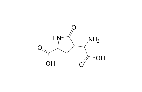 3(R)-[1'(S)-Aminocarboxymethyl]-2-pyrrolidinone-5(S)-carboxylic acid