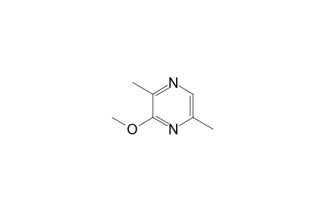 3-Methoxy-2,5-dimethylpyrazine