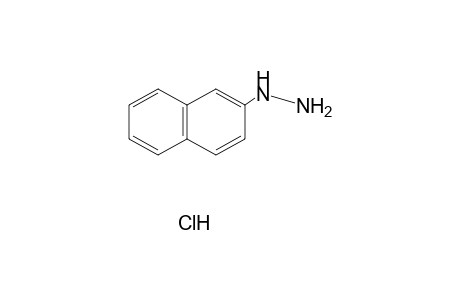 (2-naphthyl)hydrazine, monohydrochloride