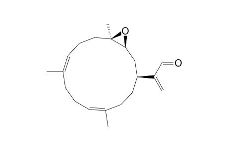 PSEUDOPLEXAURAL