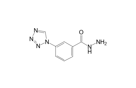 Benzoic acid, 3-(1H-1,2,3,4-tetrazol-1-yl)-, hydrazide