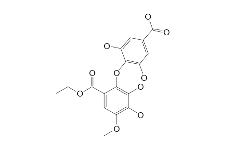 4'-0-METHYL-PARA-DEHYDRO-DIGALLIC-ACID-7'-ETHYLESTER