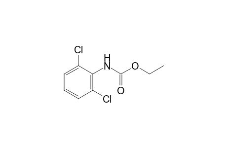 2,6-dichlorocarbanilic acid, ethyl ester