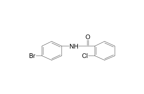 4'-bromo-2-chlorobenzanilide