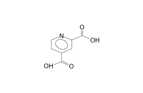 2,4-Pyridinedicarboxylic acid