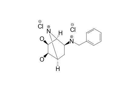 #5.2HCL;(+/-)-(1RS,2RS,3SR,4SR,5SR)-5-EXO-BENZYLAMINO-7-AZABICYCLO-[2.2.1]-HEPTANE-2,3-EXO-DIOL-DIHYDROCHLORIDE;(1RS,2RS,3SR,4SR,5SR)-5-BENZYLAMMONIO)-2