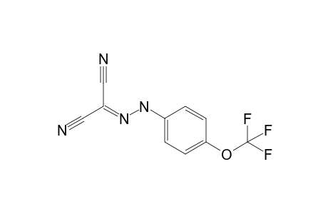 FCCP