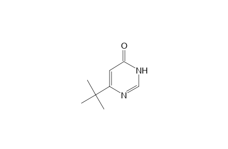 6-tert-butyl-4(3H)-pyrimidinone