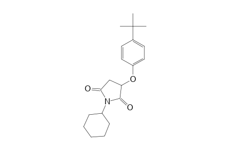 2-(p-tert-butylphenoxy)-N-cyclohexylsuccinimide