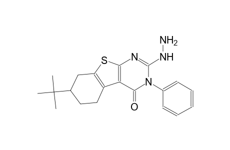 7-tert-butyl-2-hydrazino-3-phenyl-5,6,7,8-tetrahydro[1]benzothieno[2,3-d]pyrimidin-4(3H)-one