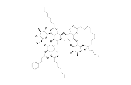 INTRAPILOSIN_III