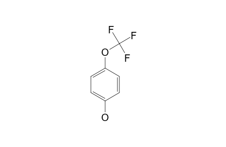 4-(Trifluoromethoxy)phenol