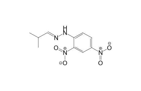 Isobutyraldehyde 2,4-dinitrophenylhydrazone