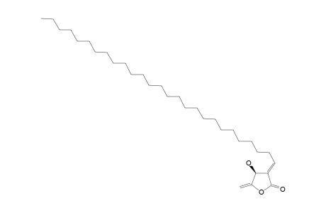 TENUIFOLIDE_A;(4-S,3-Z)-4-HYDROXY-5-METHYLENE-3-HEPTACOSYLIDENEDIHYDROFURAN-2-ONE