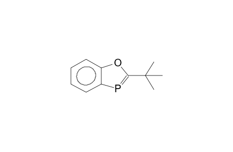 2-TERT-BUTYLBENZOXAPHOSPHOLE