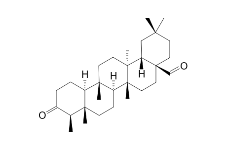 CANOPHYLLAL