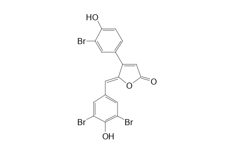 Rubrolide J