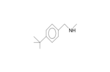 N-Methyl-4-tert-butyl-benzylamine