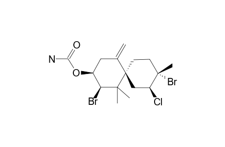 ISOOBTUSOL-9-CARBAMATE