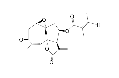 LEPTOCARPIN