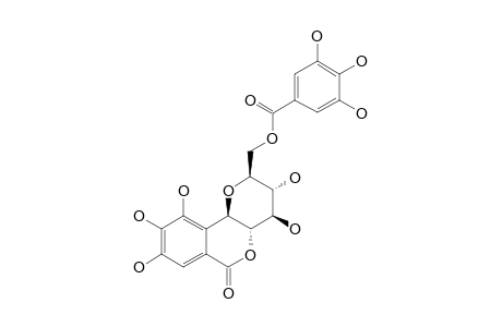 11-O-GALLOYLNORBERGENIN