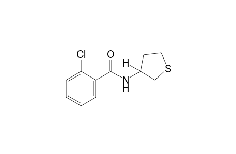 o-chloro-N-(tetrahydro-3-thienyl)benzamide