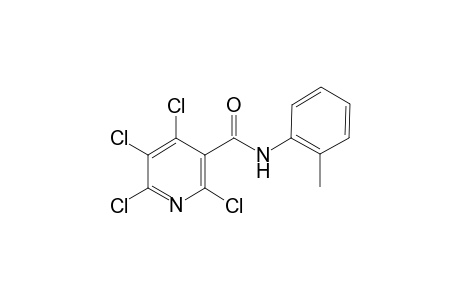 3-pyridinecarboxamide, 2,4,5,6-tetrachloro-N-(2-methylphenyl)-