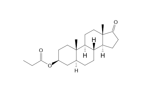 Epiandrosterone propionate