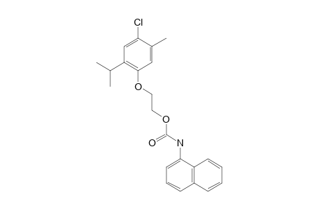 1-NAPHTHALENECARBAMIC ACID, 2-/4-CHLORO-6-ISOPROPYL-M-TOLYLOXY/ETHYL ESTER