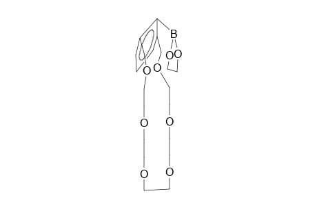 24-(1,3,2-Dioxaborolan-2-yl)-3,6,9,12,15,18-hexaoxabicyclo[18.3.1]tetracosa-1(24),20,22-triene