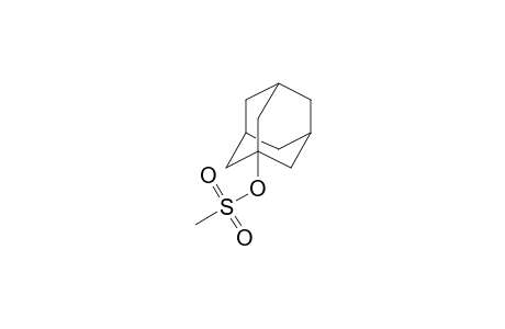 Methyl 1-adamantanesulfonate