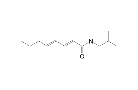 OCTA-2E,4E-DIENOCIC_ACID_ISOBUTYLAMIDE