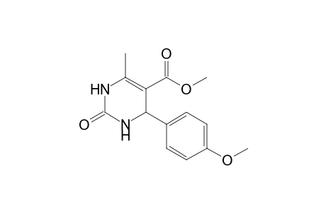 2-keto-4-(4-methoxyphenyl)-6-methyl-3,4-dihydro-1H-pyrimidine-5-carboxylic acid methyl ester