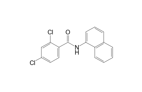 2,4-Dichloro-N-(1-naphthyl)benzamide