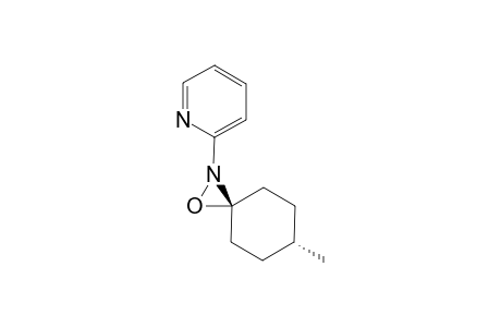 (CYS)-6-METHYL-2-PYRIDYL-1-OXA-2-AZASPIRO-[2.5]-OCTANE