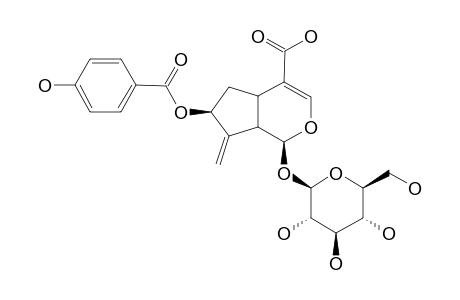 7-O-PARA-HYDROXYBENZOYL-GARDOSIDE