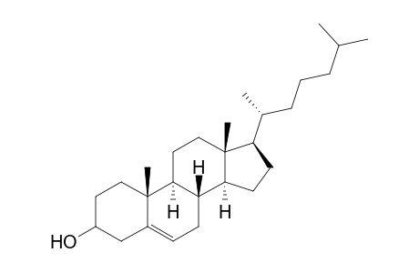 Cholesterol