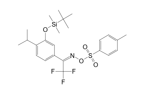 1-[3-(TERT.-BUTYLDIMETHYLSILANYLOXY)-4-ISOPROPYLPHENYL]-2,2,2-TRIFLUOROETHANONE_OXIME_TOSYLATE;MAJOR_ISOMER