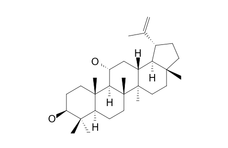 NEPETICIN