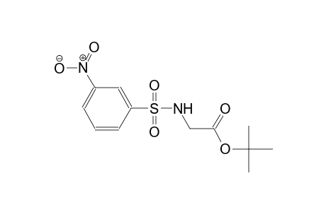 acetic acid, [[(3-nitrophenyl)sulfonyl]amino]-, 1,1-dimethylethyl ester