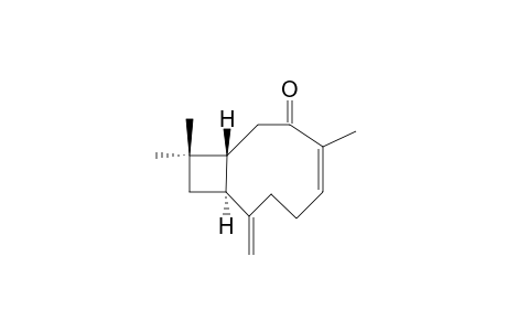 BUDDLEDIN-D