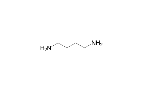 Putrescine (1,4-diaminobutane)