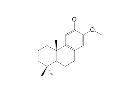 12-HYDROXY-13-METHOXY-8,11,13-PODOCARPATRIENE